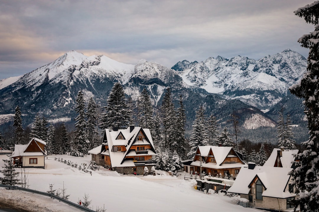 Best Travel Destinations in Winter: Cozy Escapes and Snowy Adventures