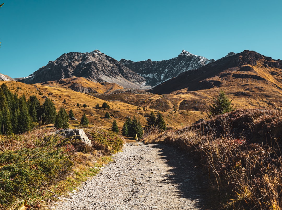 How to Travel During Peak Season Without Losing Your Mind or Your Budget