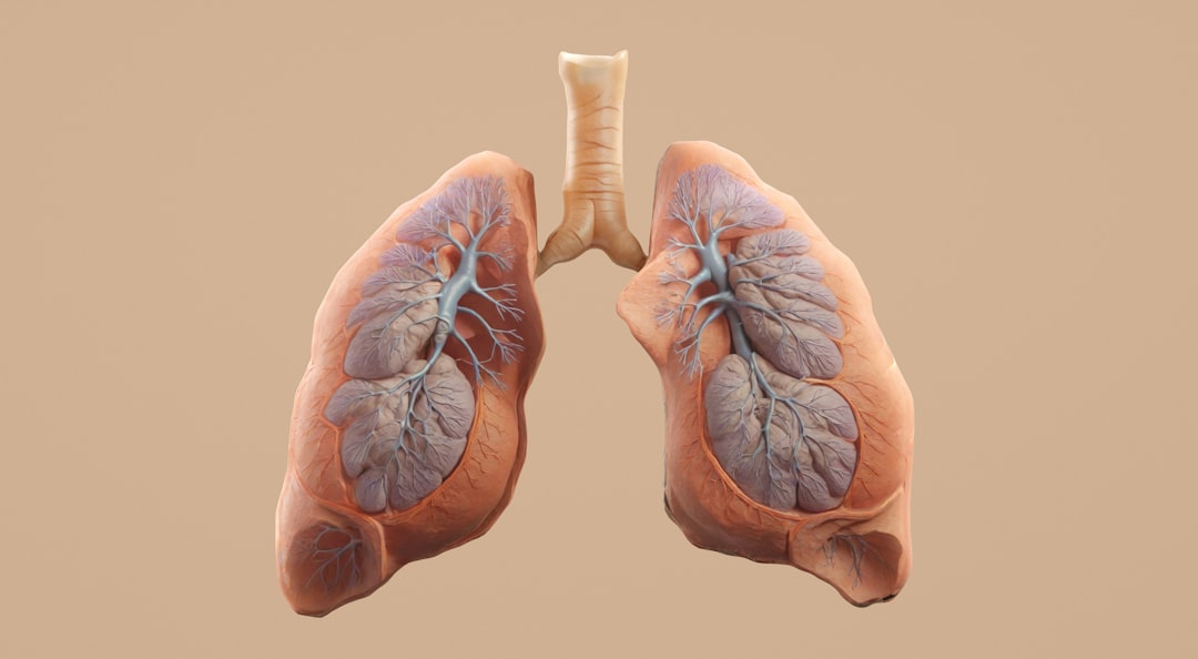 Simple and Effective Ways to Improve Lung Health Naturally