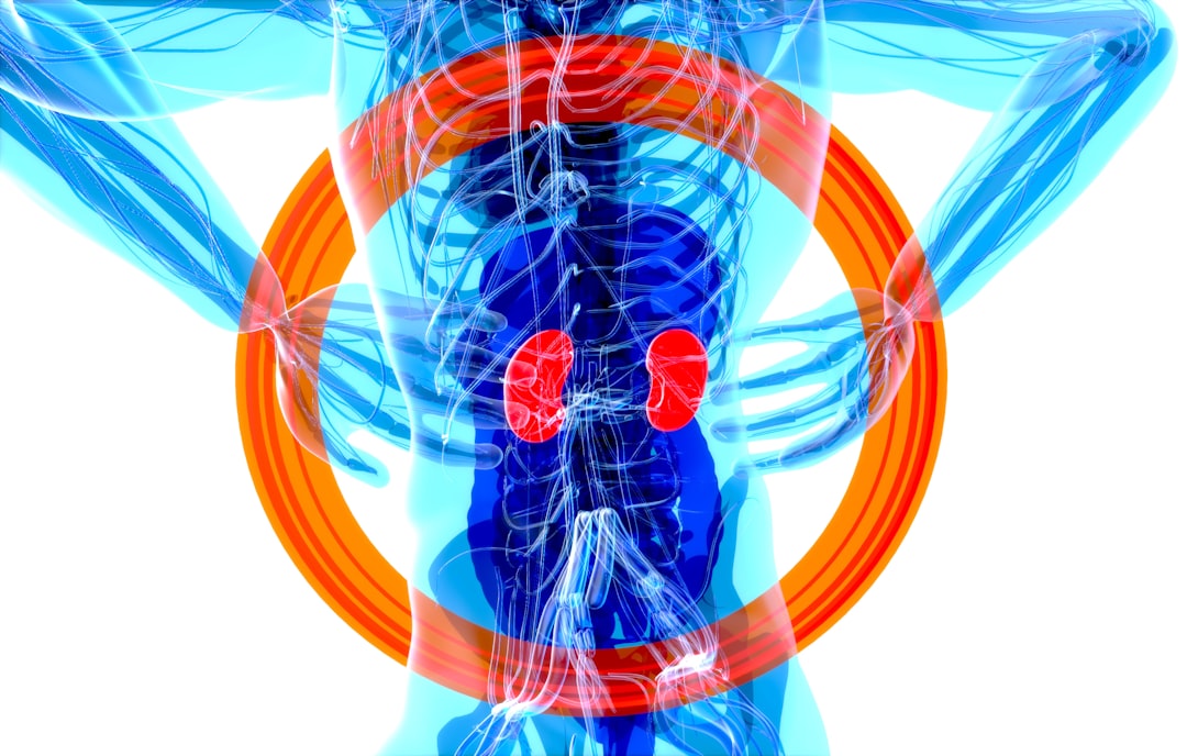 Simple Ways to Improve Kidney Health Naturally
